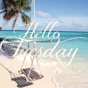 Hello Tuesday! Let The Sales Begin!